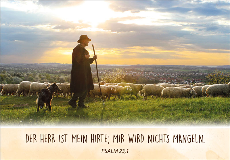 Neujahrslose Schafe