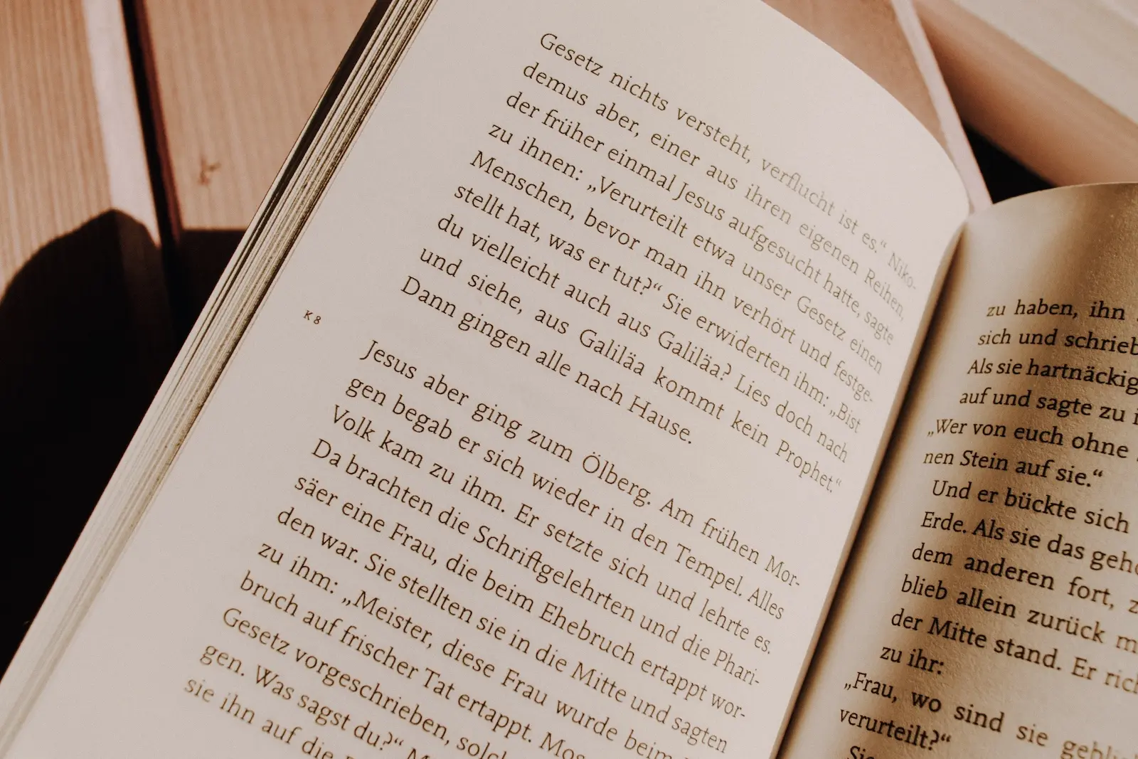 Das Evangelium nach Johannes | Bücher der Bibel