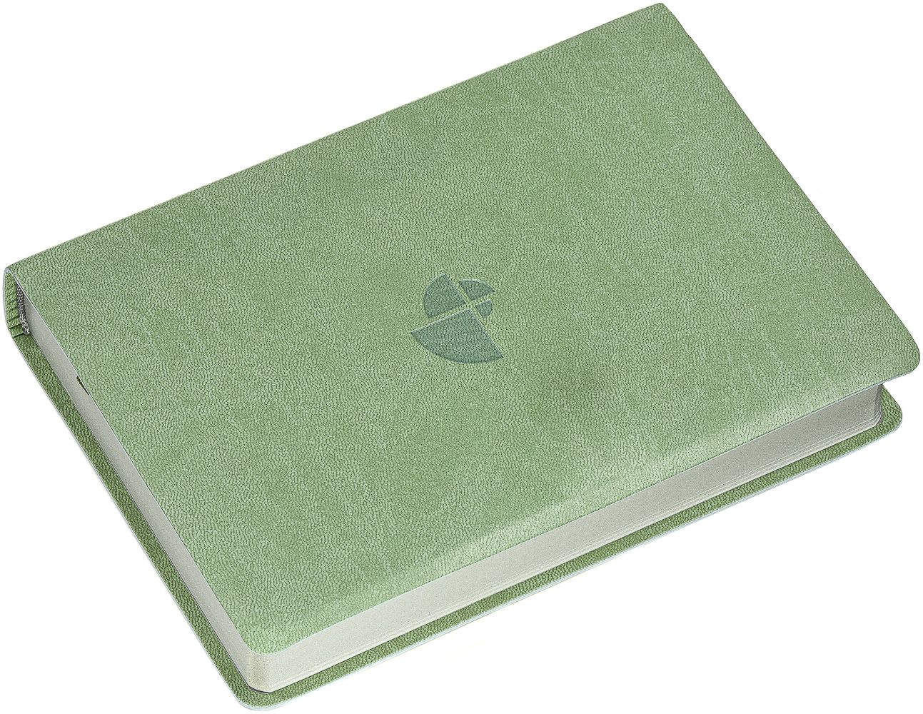 Schlachter 2000 Bibel - Taschenausgabe, oliv, grauer Farbschnitt -  - Softcover 11. Auflage (13,8 x 19,9 x 2,9 cm)