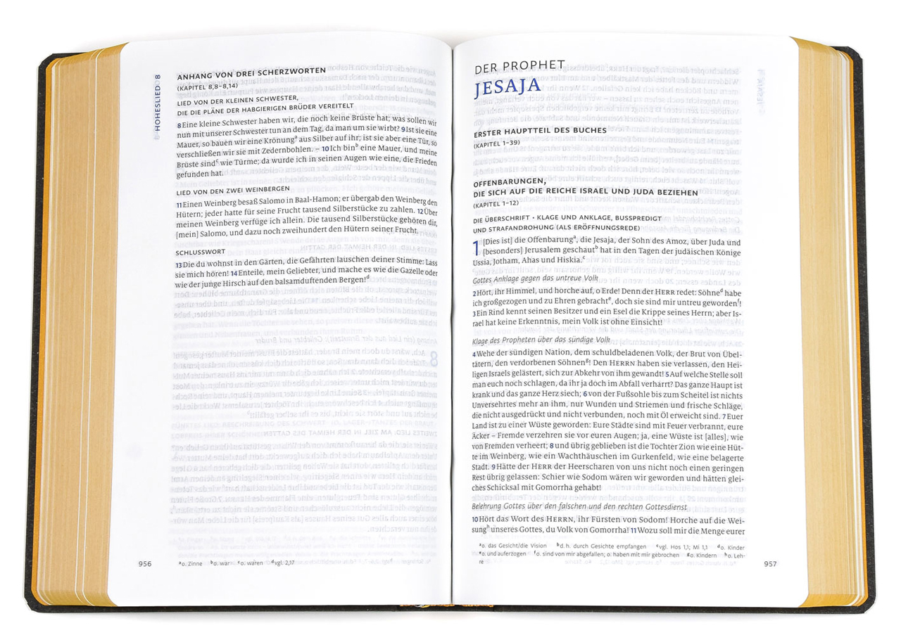 Menge 2020 (Bibel) – Standardausgabe (Softcover, grau, Senfschnitt) -  - Softcover 3. Auflage (15,3 x 22,5 x 4 cm)