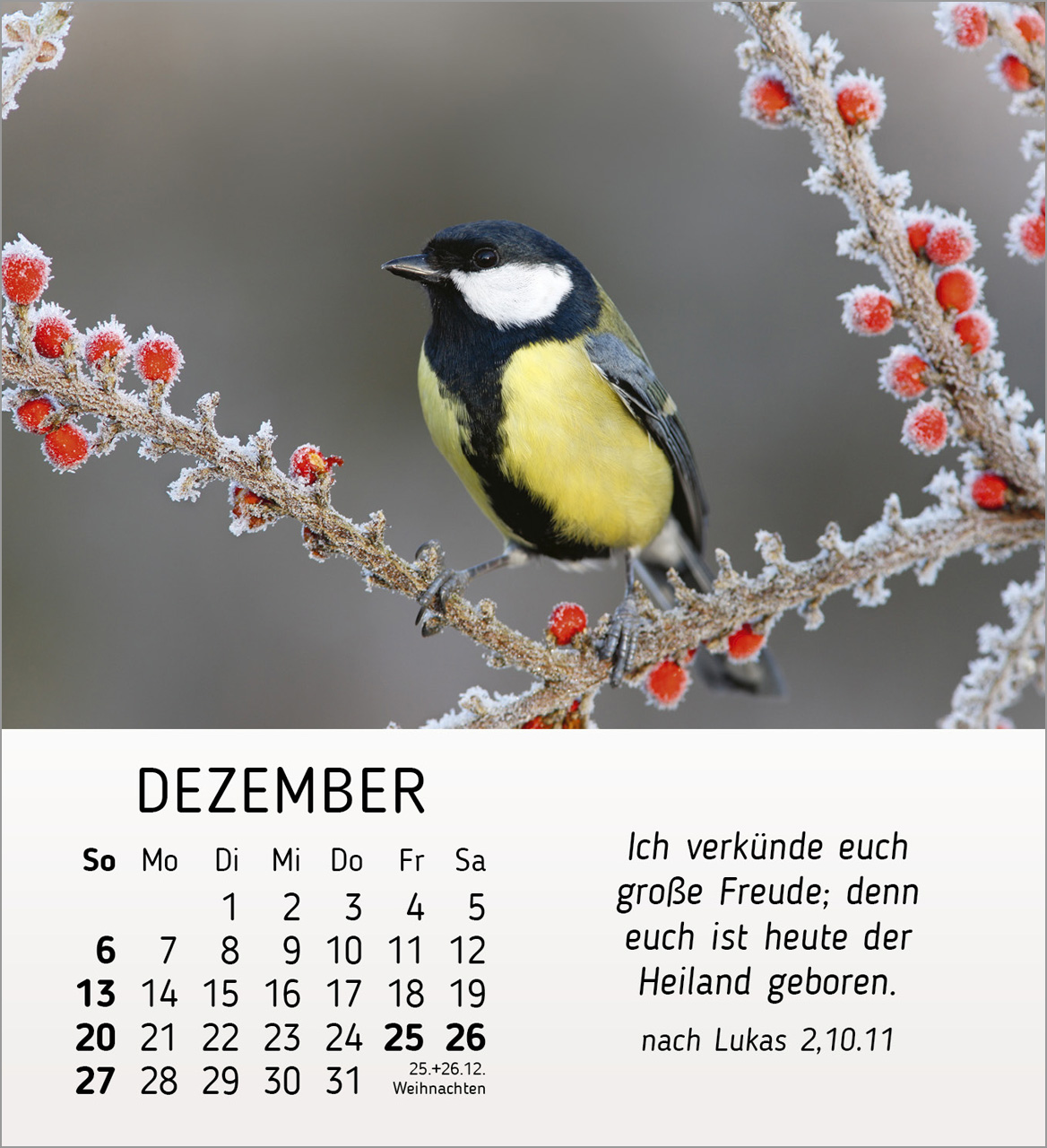 Stille Begegnungen Tischkalender 2026