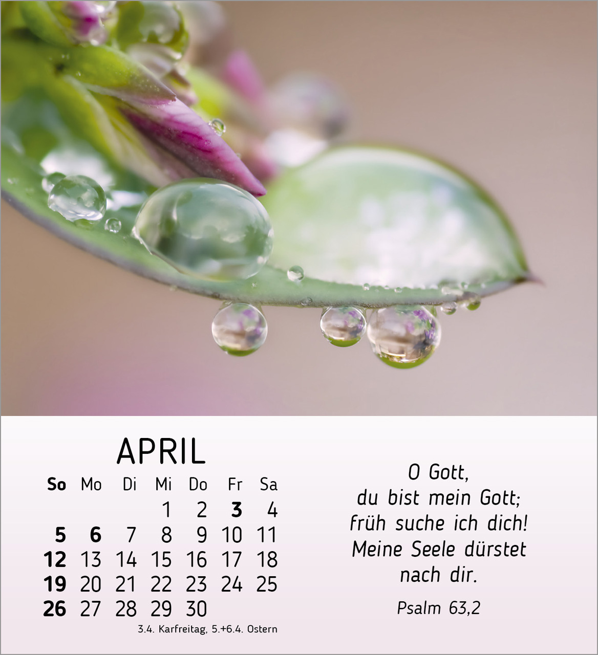 Stille Begegnungen Tischkalender 2026