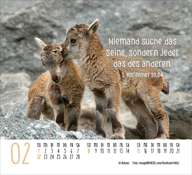 Begegnungen - Dich vergess ich nie 2026 - Minikalender