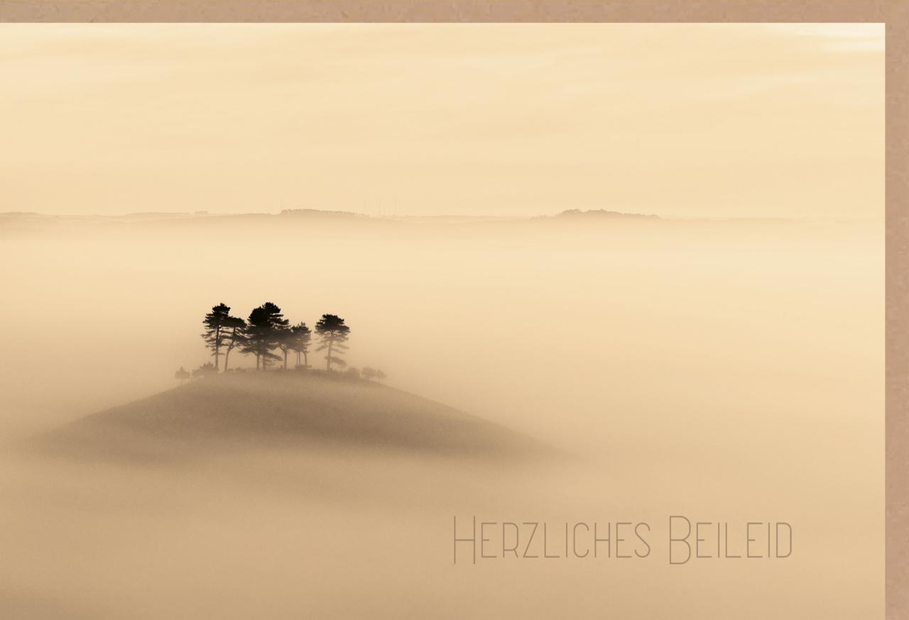Faltkarte Herzliches Beileid -  Anlass: Trauer (17 x 11,5 cm)
