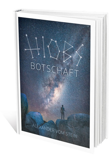 Hiobs Botschaft -  Autor: Alexander vom Stein - Hardcover 1. Auflage (19,2 x 26 x 1 cm)
