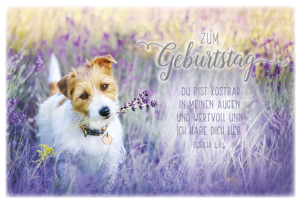 Faltkarte Hund im Lavendelfeld -  Anlass: Geburtstag (17 x 11,5 cm)