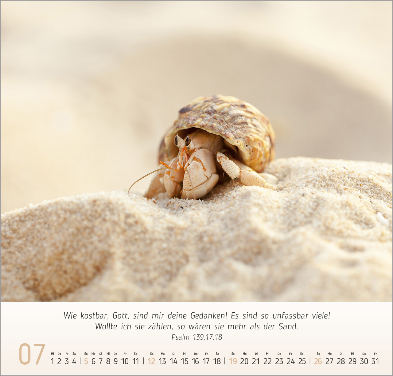 Gesichter der Natur Wandkalender 2026