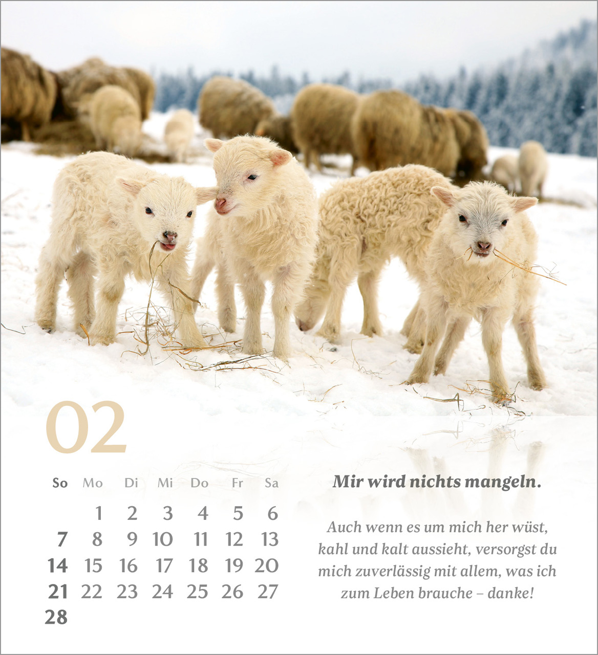 Psalm 23 – 2027 – Tischkalender