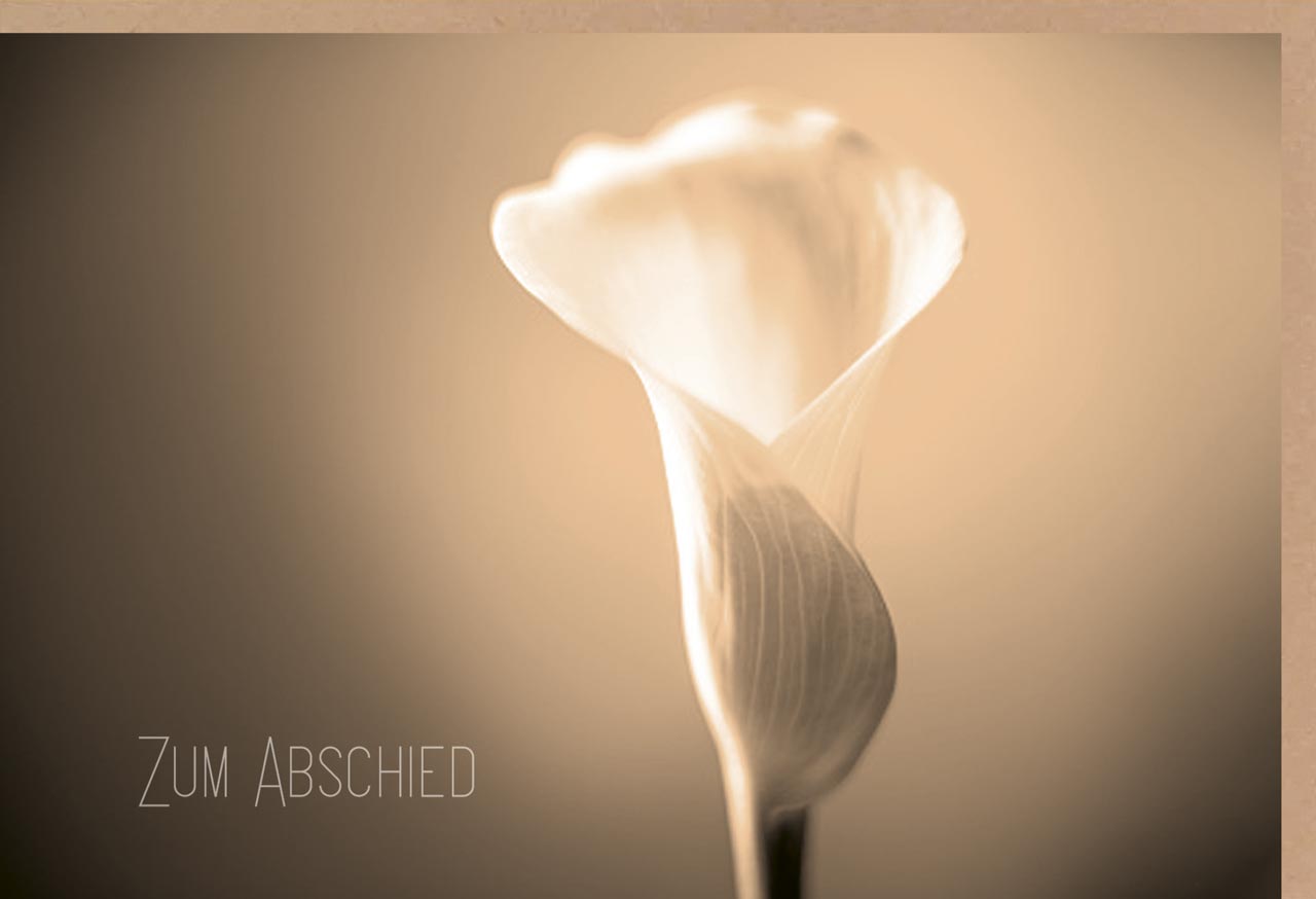Faltkarte Zum Abschied Calla-Blüte -  Anlass: Trauer (17 x 11,5 cm)