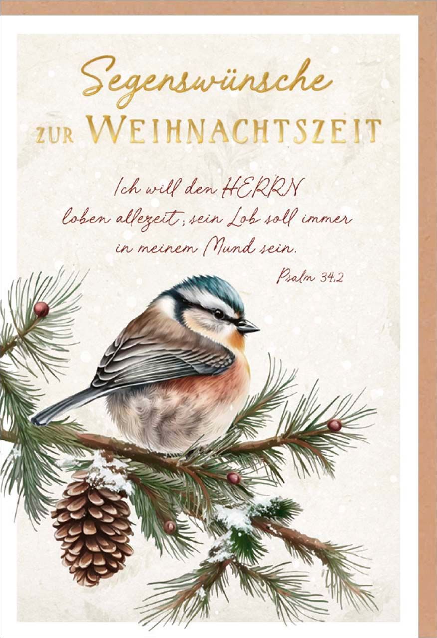 Faltkarte Blaumeise auf Zweig -  Anlass: Weihnachten (11,5 x 17 cm)