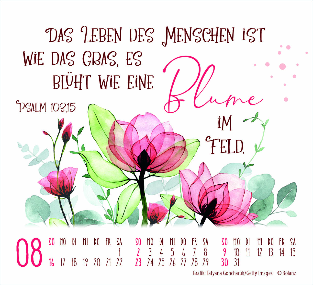 Geschützt in seiner Hand 2026 - Minikalender