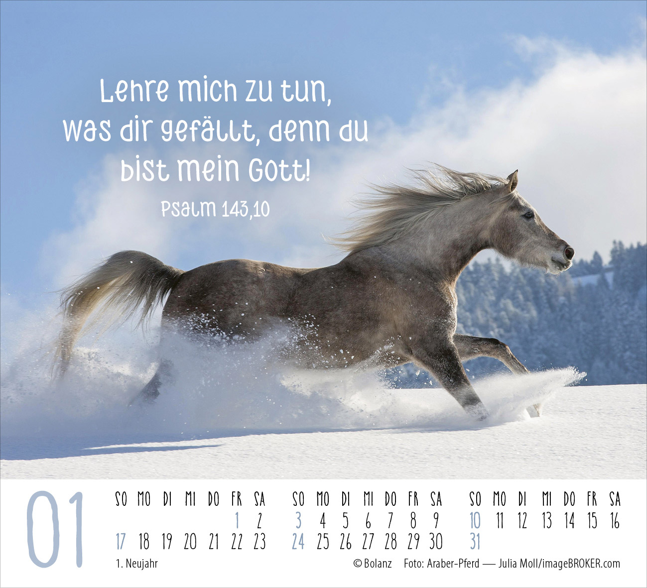 Pferde – elegante Schönheiten 2027 – Minikalender