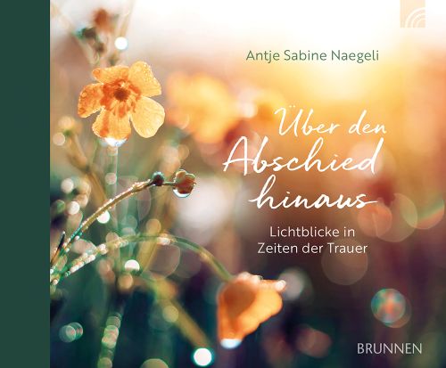 Über den Abschied hinaus - Lichtblicke in Zeiten der Trauer -  Anlass: Trost Autor: Antje S. Naegeli - Hardcover 1. Auflage (17 x 14 x 0,4 cm)