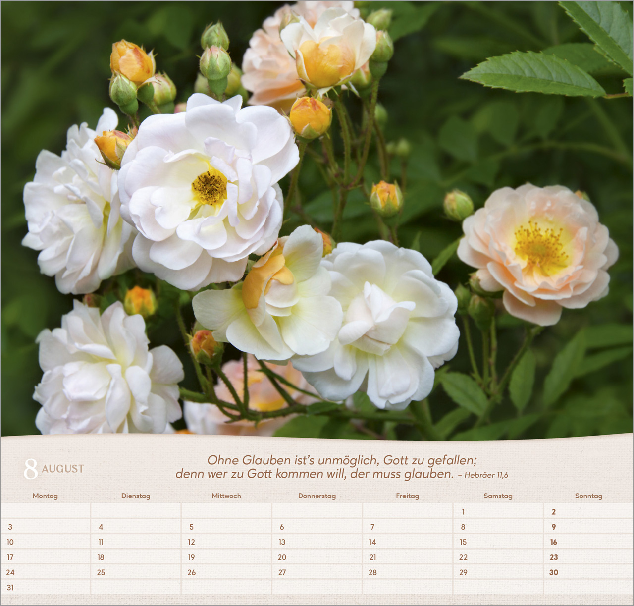 Rosen Wandkalender 2026