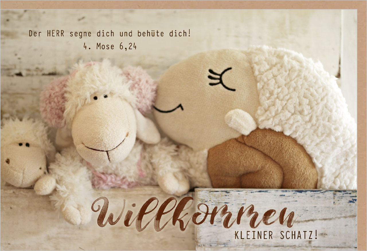 Faltkarte zur Geburt mit Kuscheltieren