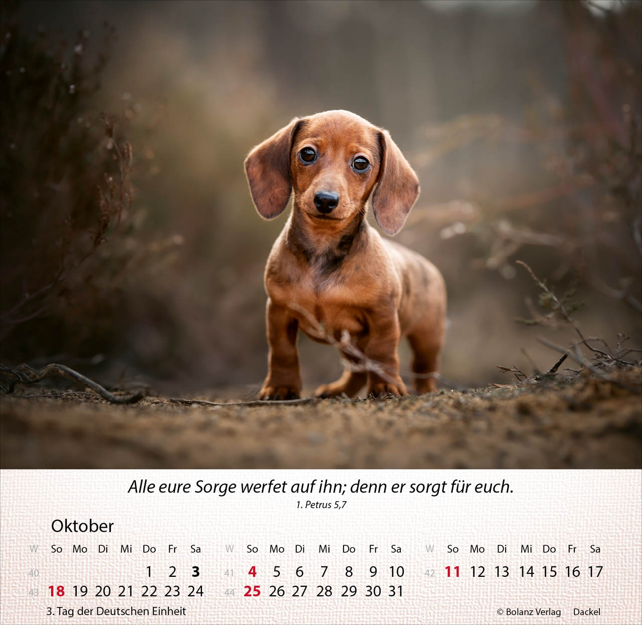 Hunde 2026 - Tischkalender