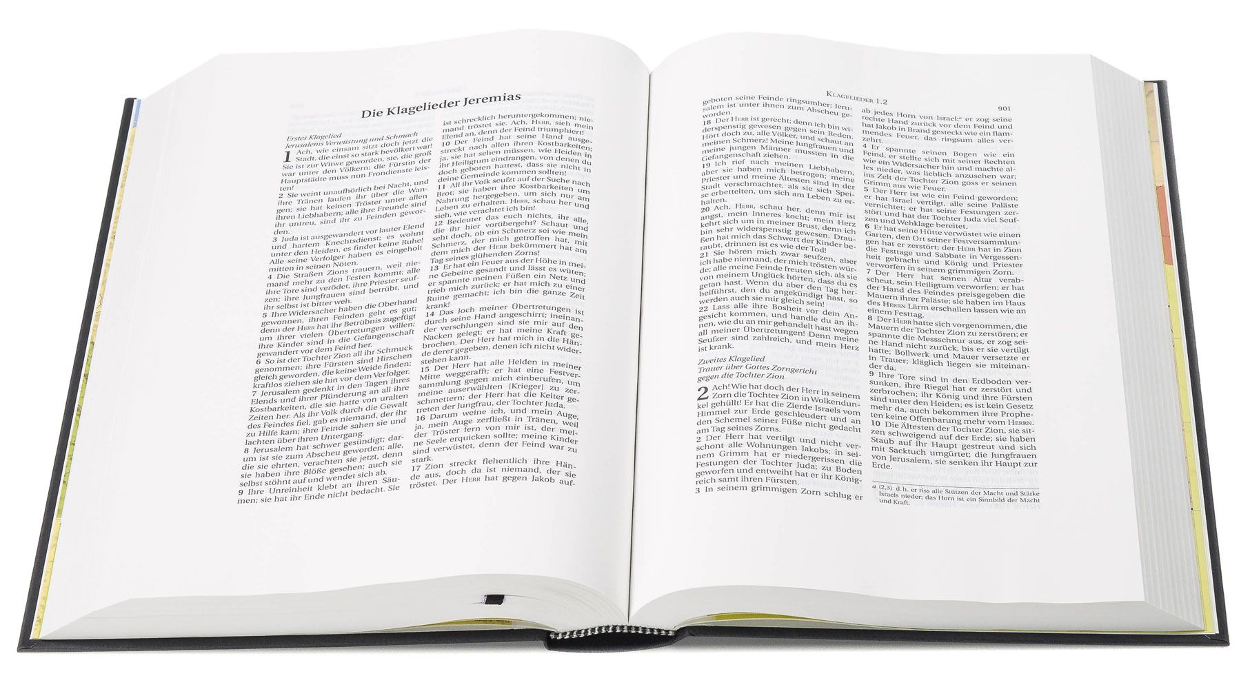 Schlachter 2000 Bibel – Schreibrandausgabe (Hardcover, anthrazit) -  - Hardcover 5. Auflage (17,3 x 23,9 x 3,3 cm)