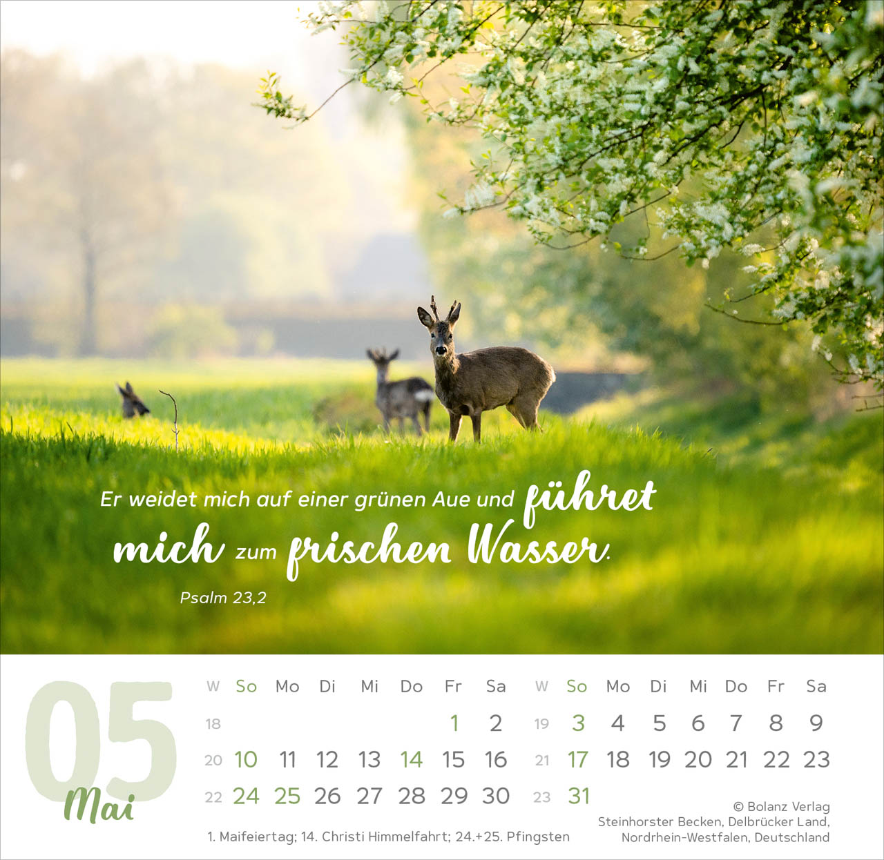 Meine Zeit 2026 - Tischkalender