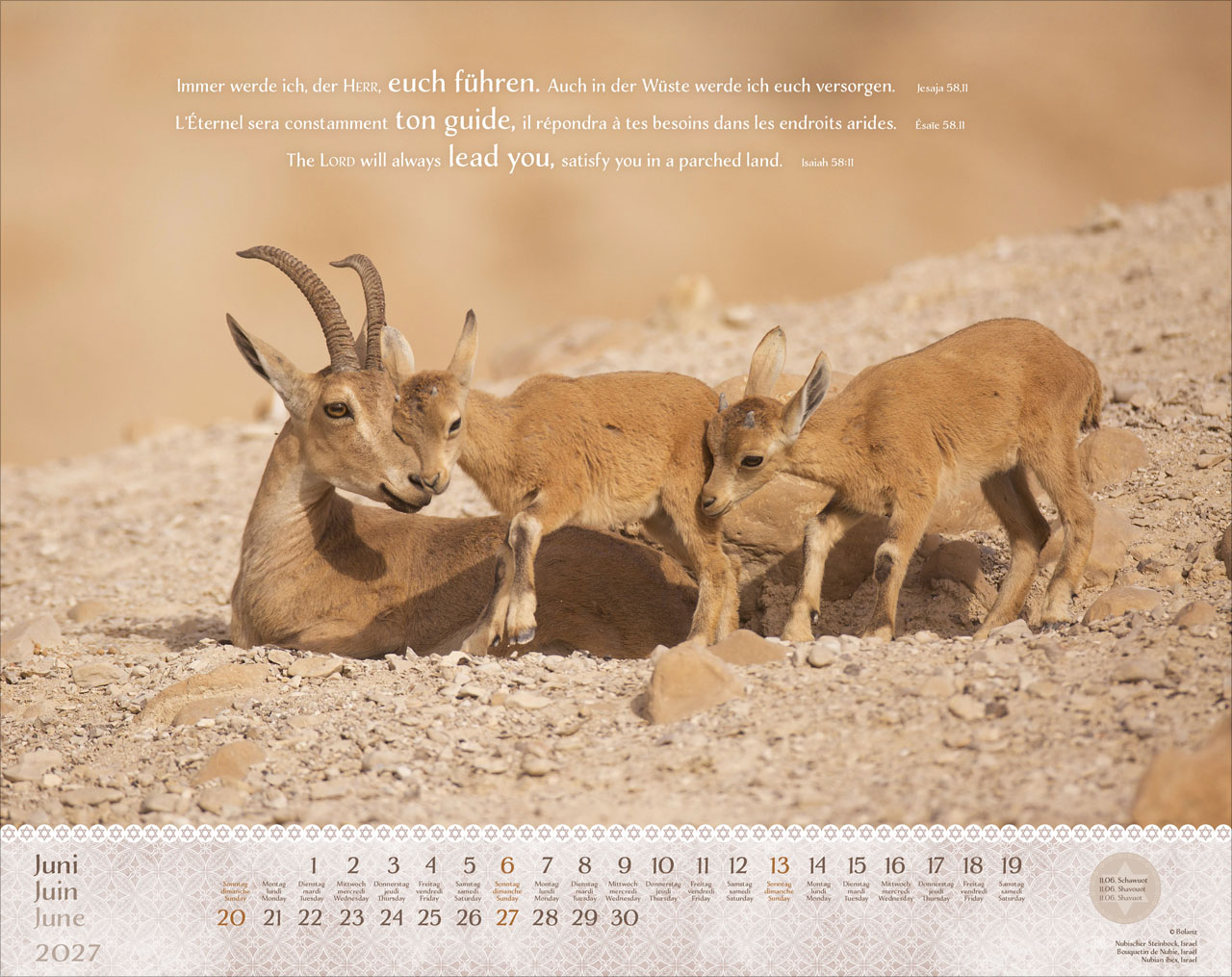 Israel Shalom 2027 – Super-Wandkalender
