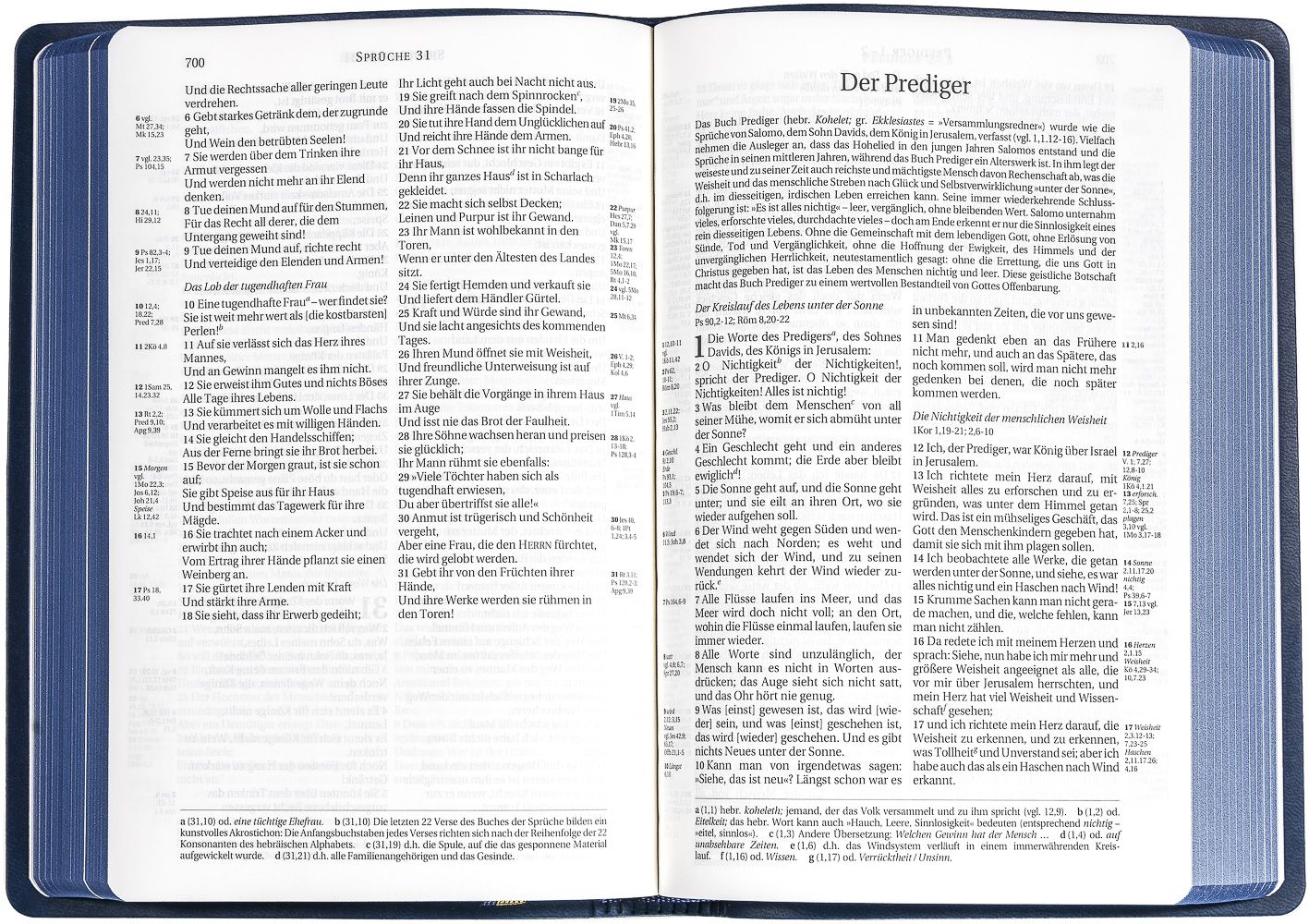 Schlachter 2000 Bibel - Taschenausgabe, sandfarben, blauer Farbschnitt -  - Softcover 11. Auflage (13,8 x 19,9 x 2,9 cm)
