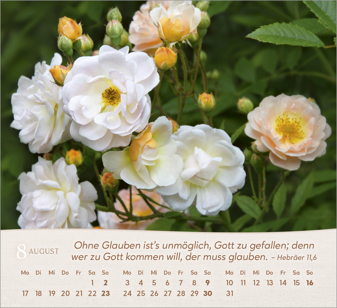 Rosen Tischkalender 2026