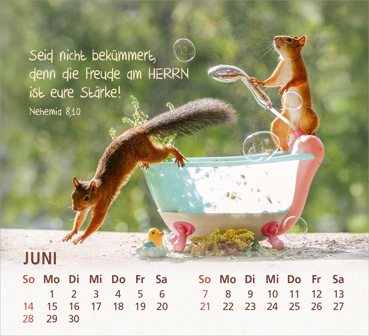 Du bist meine Freude 2026