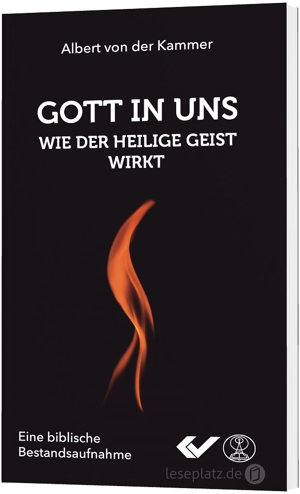 Gott in uns - Wie der heilige Geist wirkt -  Autor: Albert von der Kammer - Taschenbuch 1. Auflage (11 x 18 x 1 cm)