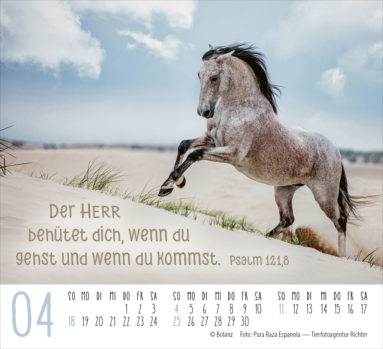 Pferde – elegante Schönheiten 2027 – Minikalender