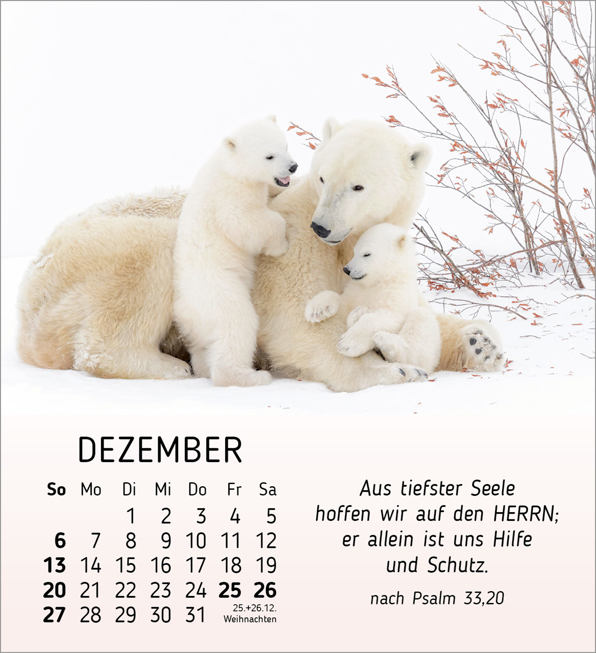 Meine kleinen Freunde 2026 - Tischkalender