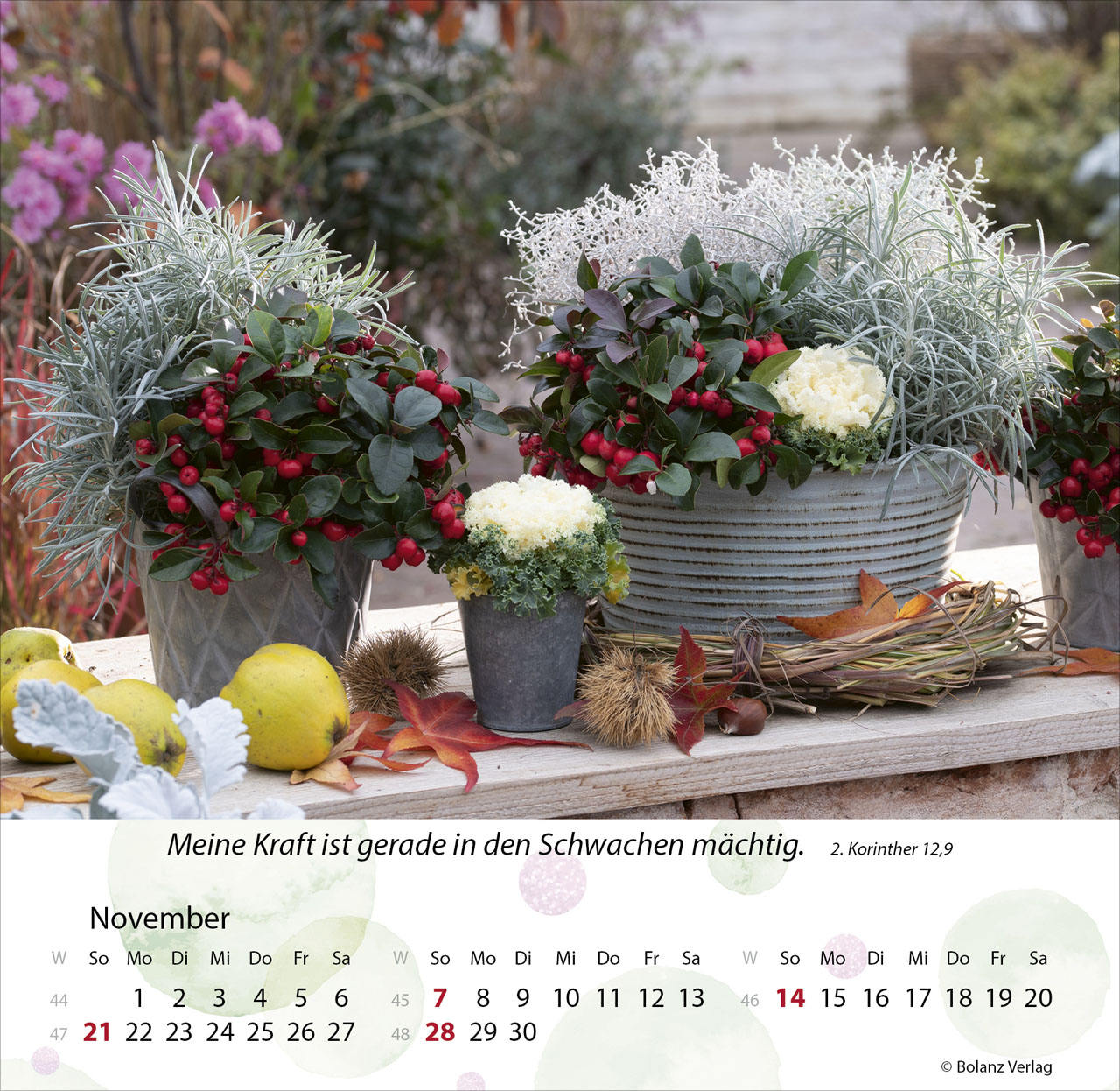 Gärten 2027 – Tischkalender