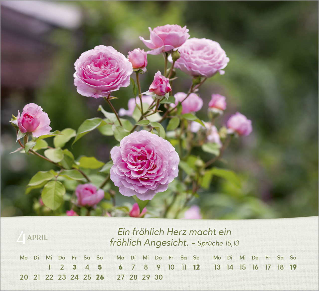 Rosen Tischkalender 2026