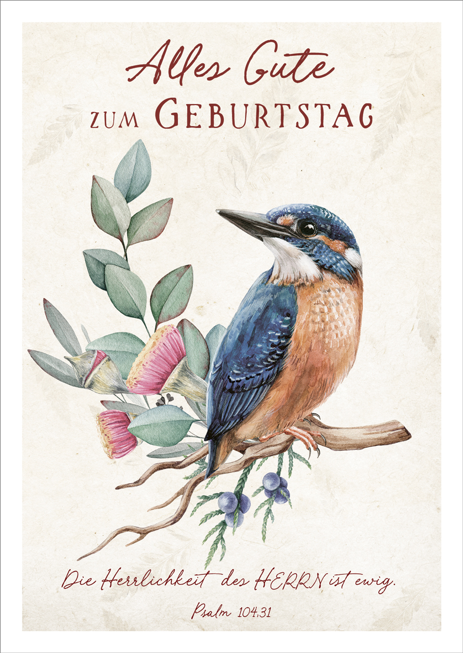 Postkarte Die Herrlichkeit des Herrn - Eisvogel -  (10,5 x 14,8 cm)