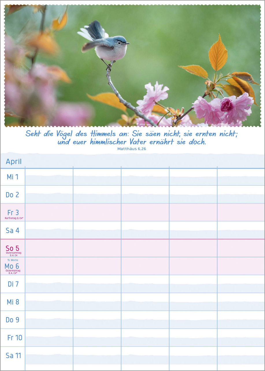 Multiplaner 2026 - Terminplaner