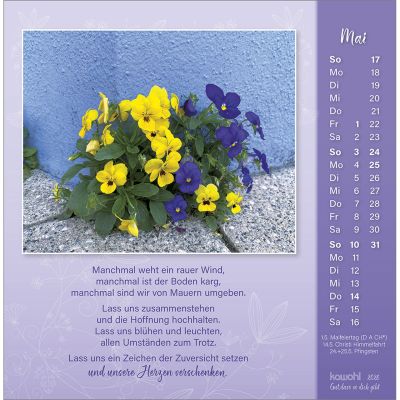 Gut, dass es dich gibt 2026 -  Autor: Doro Zachmann (16 x 16 cm)