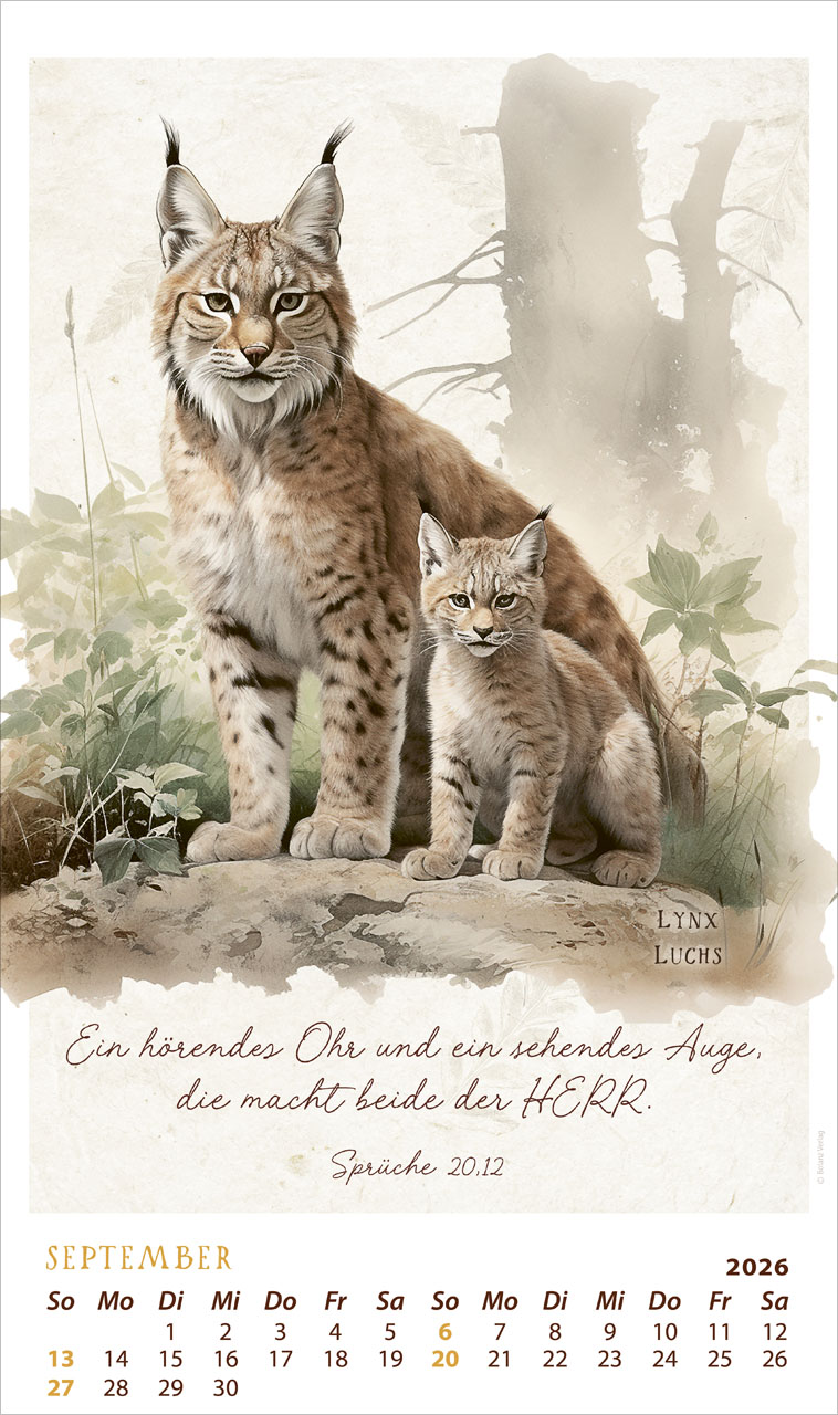 Schmuck Stücke des Schöpfers 2026 - Posterkalender