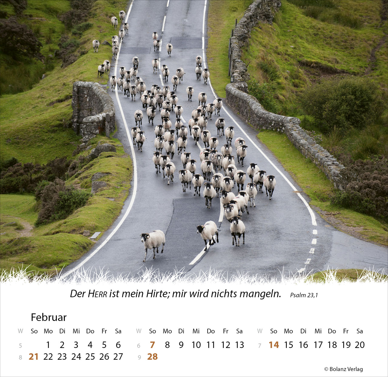 Ein Leben für die Schafe 2027 – Tischkalender