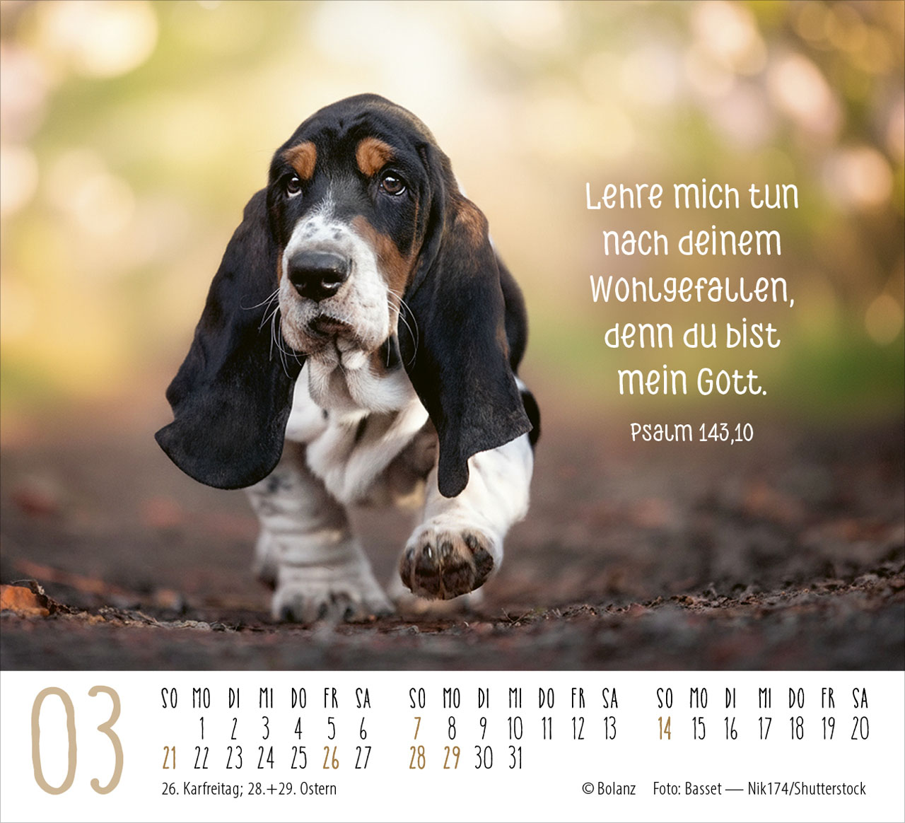 Hunde – treue Wegbegleiter 2027 – Minikalender