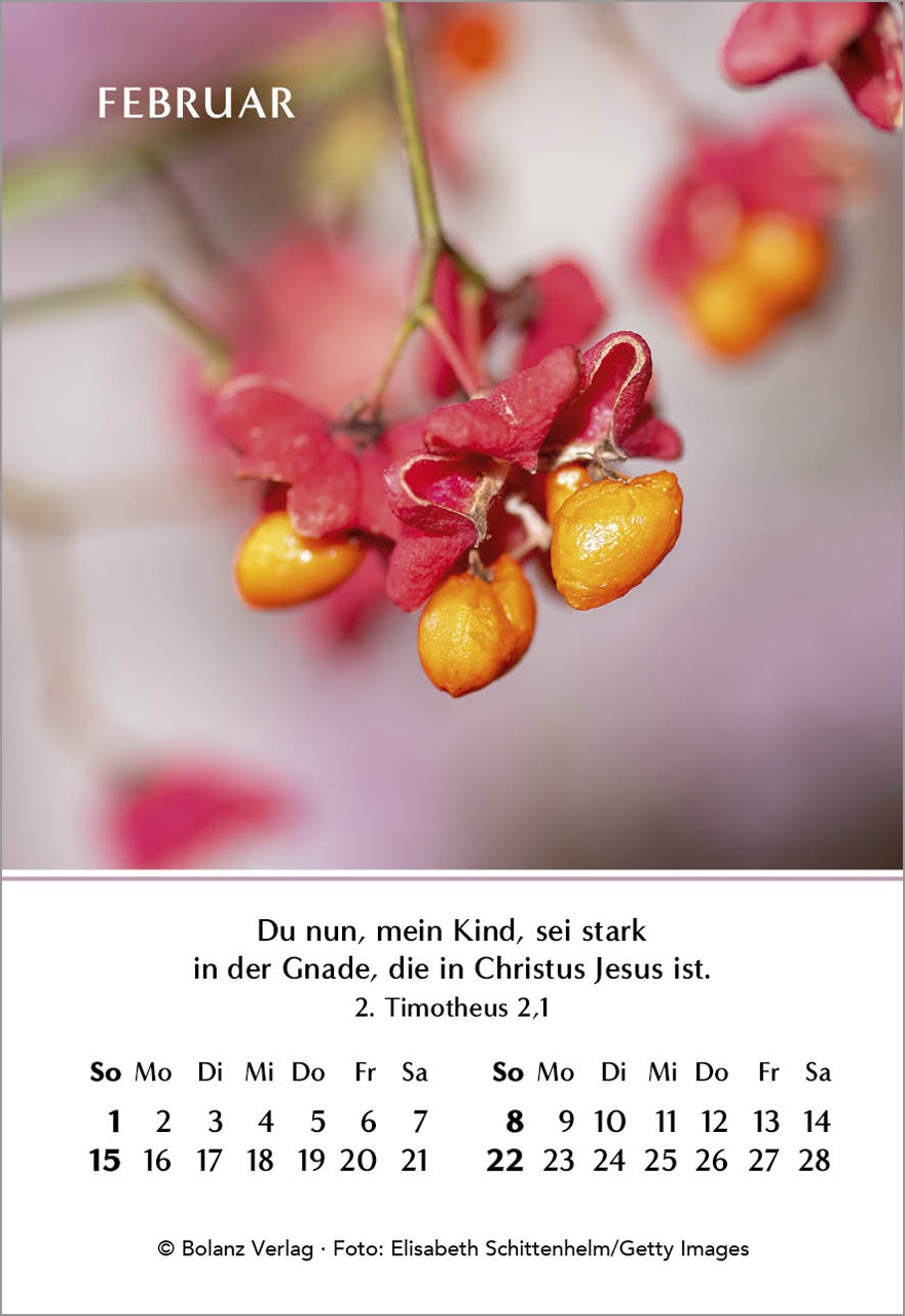 Ein Jahr der Freude Mini-Kalender 2026