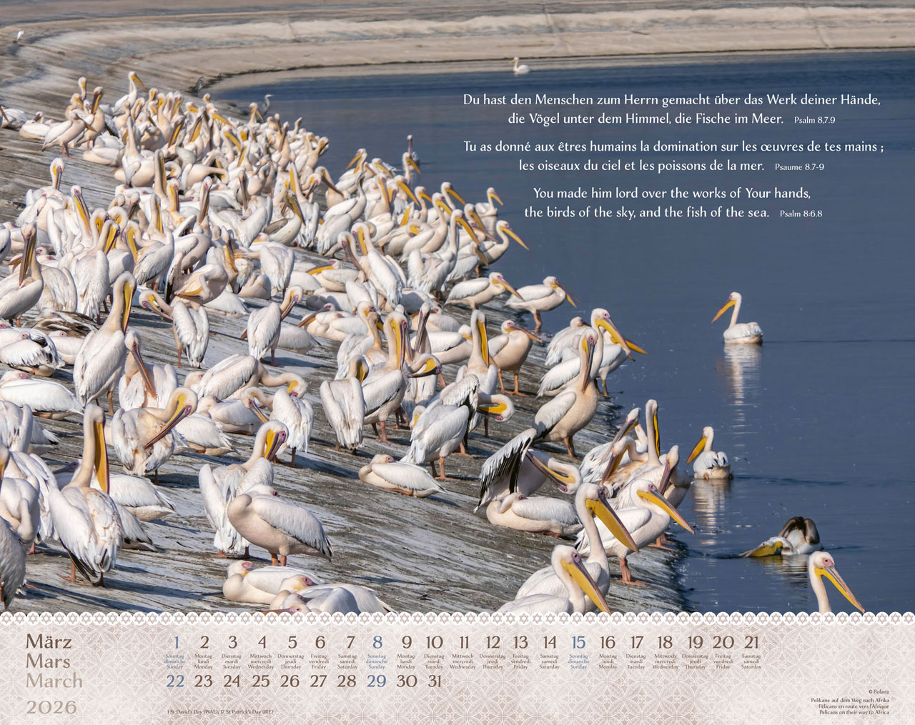 Israel Shalom 2026 - Wandkalender