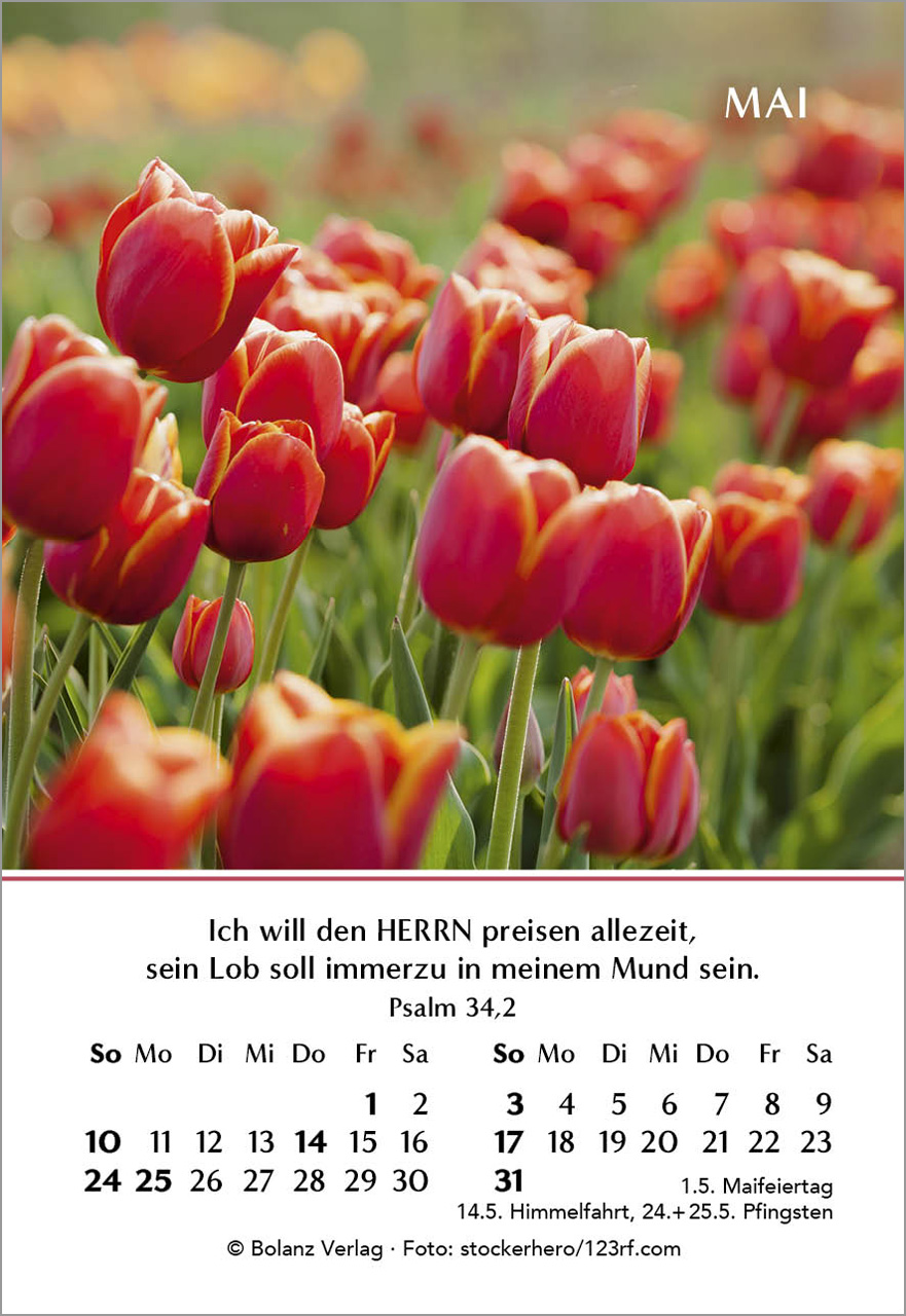 Ein Jahr der Freude Mini-Kalender 2026