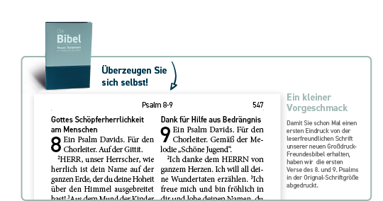 Großdruckbibel luther.heute -  (12,5 x 18,6 cm)