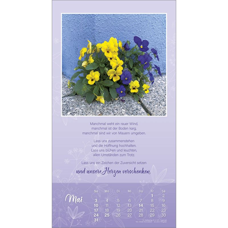 Schön, dass es dich gibt 2026 -  Autor: Doro Zachmann (21 x 38 cm)