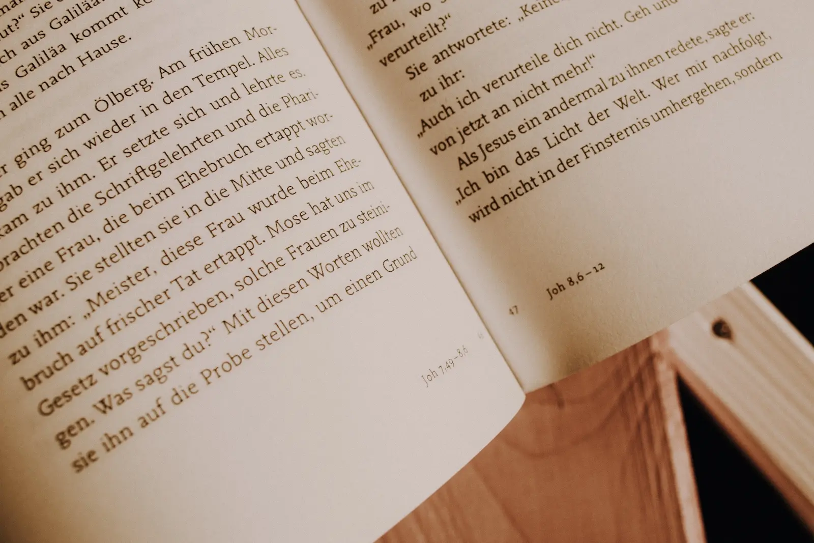 Das Evangelium nach Johannes | Bücher der Bibel
