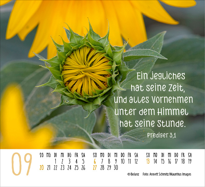 Atempause - Wohin du auch gehst 2026 - Minikalender