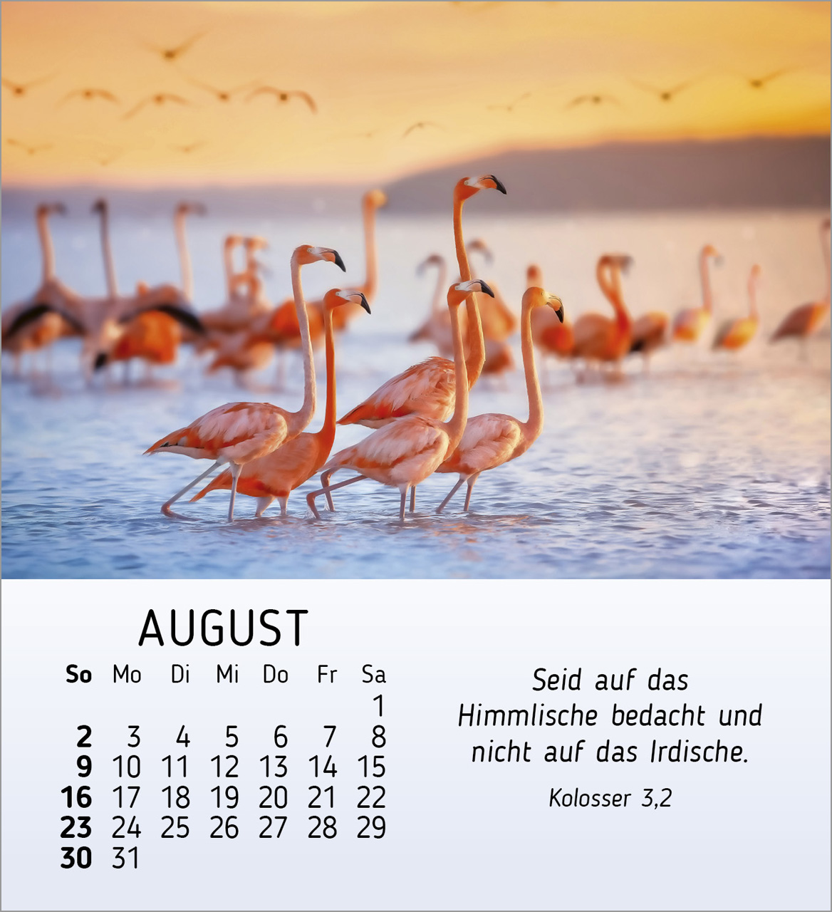 Schöheit des Lichts Tischkalender 2026