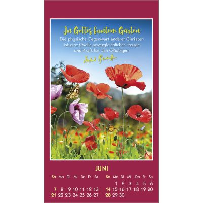 Gott ist bei dir 2026 -  Autor: Dietrich Bonhoeffer (6 x 10,5 cm)