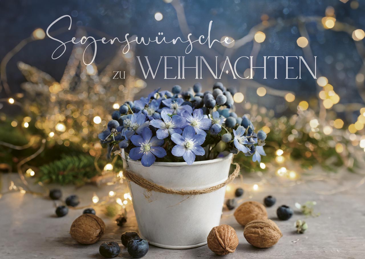 Postkartenbox Gesegnete Festtage -  Anlass: Weihnachten (15 x 11 cm)