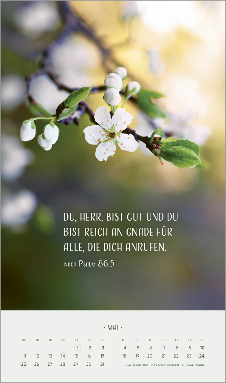 Zarte Blumengrüße Wandkalender 2026