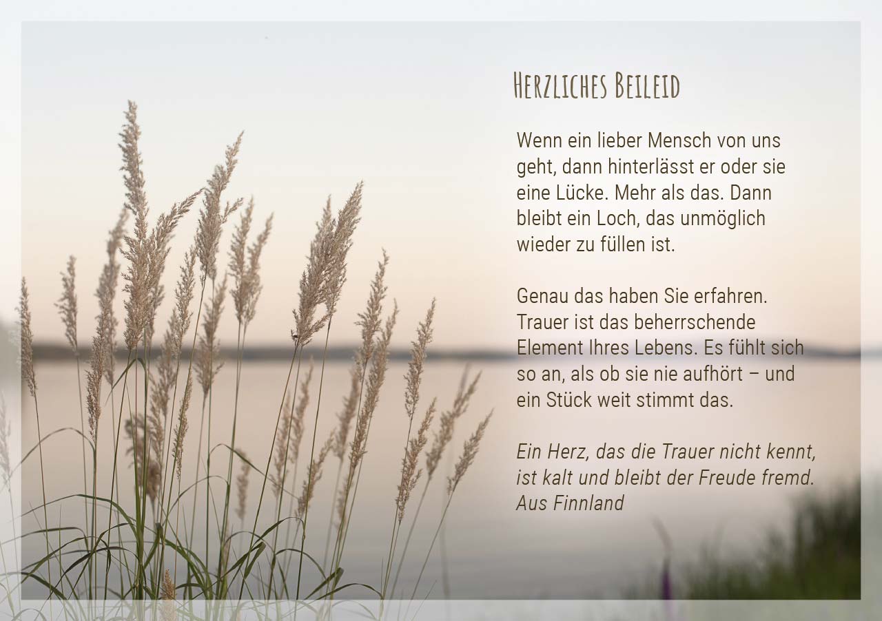 Grußheft - Sei getröstet - Anlass: Trost Autor: Hauke Burgarth (10,5 x 14,8 cm) Grußheft - Sei getröstet - Anlass: Trost Autor: Hauke Burgarth (10,5 x 14,8 cm)