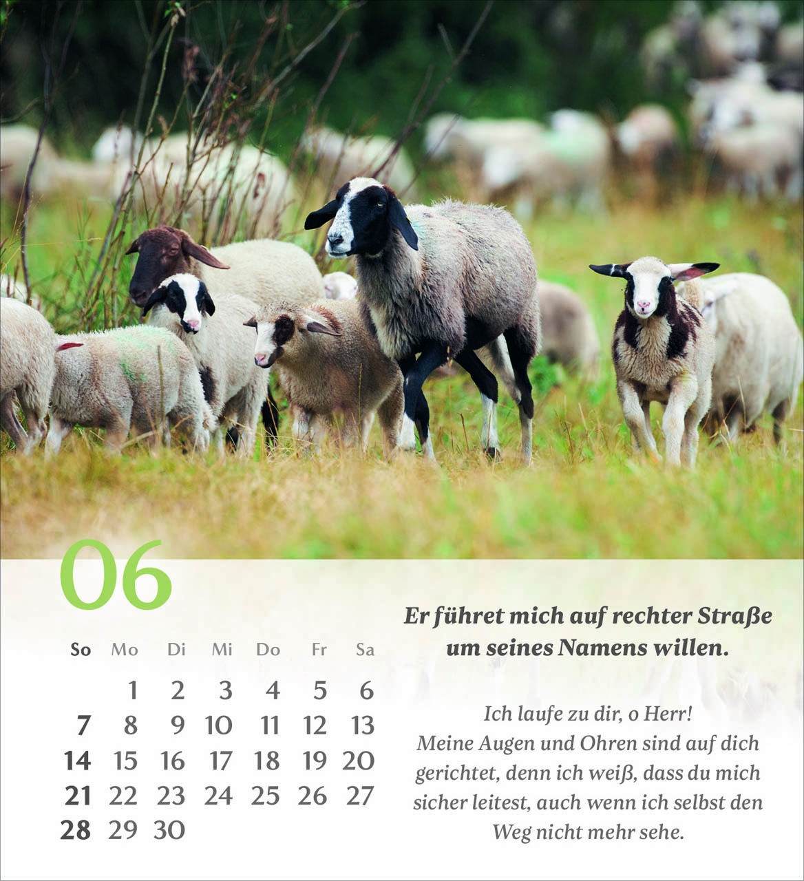 Psalm 23 Tischkalender 2026
